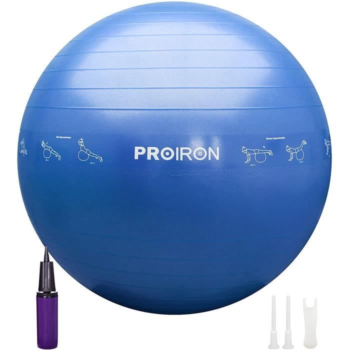 Ballon de Gymnastique Instructions d'exercice Imprimée, Balles d'exercices Fitness 55cm 65cm 75cm pour Gym Pilates Yoga Ballon Fitne