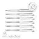 Laguiole bloc 6 couteaux