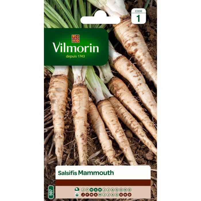 VILMORIN Salsifis mammouth