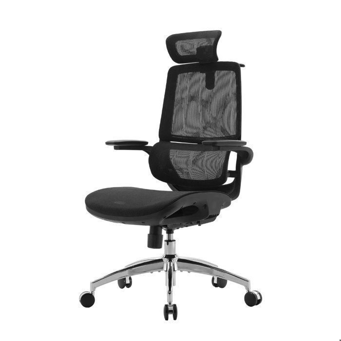 SIHOO M59AS Chaise de Bureau Ergonomique avec Accoudoirs 3D rabattable Double Soutien Lombaire Dynamique Adaptatif Noir