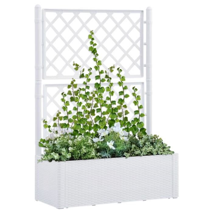 Stefanplast Natural Jardinière Auto-Arrosage Blanc 40x16x13 Cm - Système Pratique Et Élégant