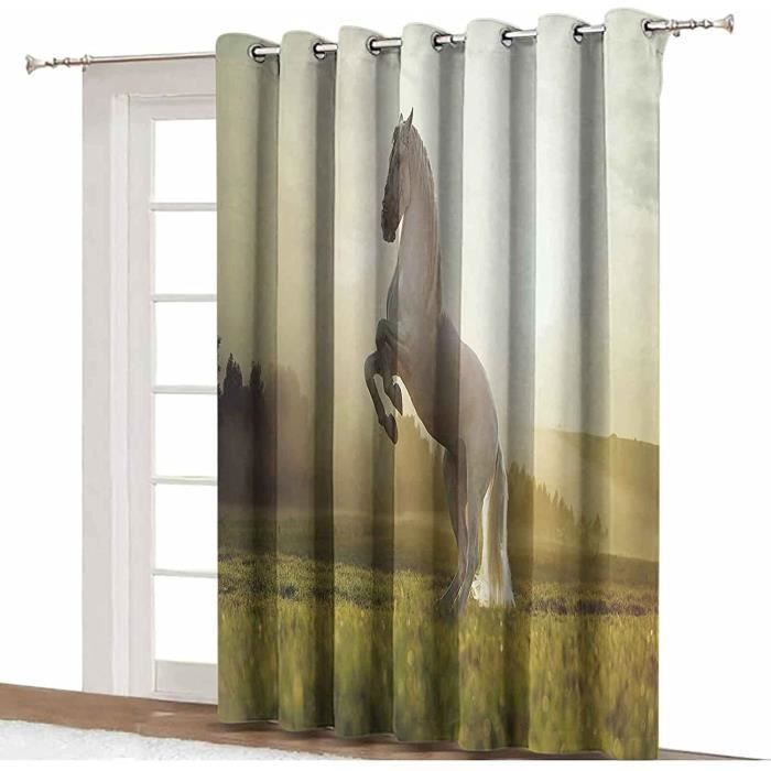 Moustiquaire Fenetre Magnetique 200 X 250 Cm Sans