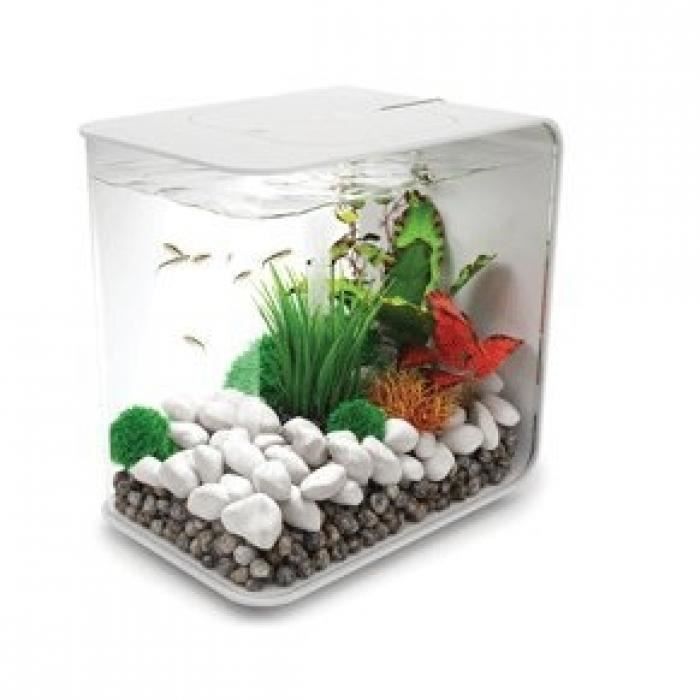 Meilleurs prix pour Aquarium BIORB FLOW BLANC 30 L - Facilité d'utilisation - Facile à installer et à entretenir - Faible entretien