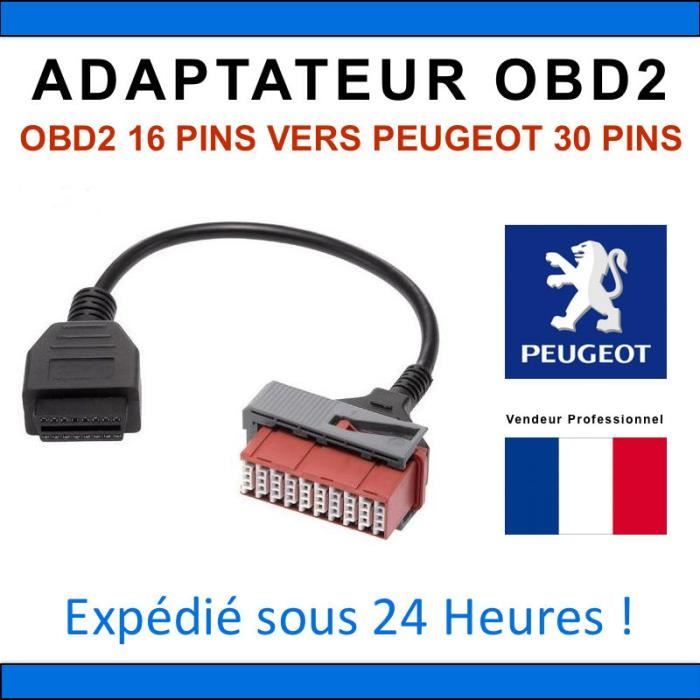 Adaptateur DIAGNOSTIQUE OBD2 Peugeot 30 Broches Diagbox Delphi