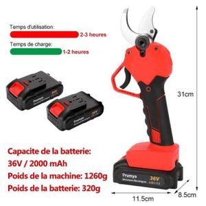 Sécateur Électrique Sans Fil 40mm - 24V Avec 2 Batteries - Moteur Sans Balais - Pour Jardinage