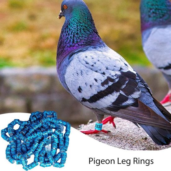 Lot De 100 Anneaux De Marquage En Plastique Pour Volailles (poules, Pigeons, Etc.) - Couleurs Aléatoires - Diamètre Intérieur 14-22 Mm - 6