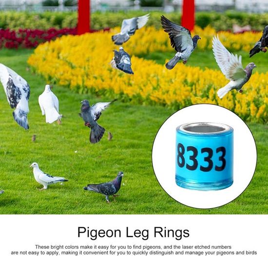 Bagues Pour Poules Numérotées Anneaux Pattes Volaille - 80 Pièces - 8 Couleurs - Identification Poules Et Oiseaux Bague Pied