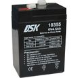 Dsk 10355 Batterie Plomb Rechargeable Scellée 6v 45 Ah. Idéal Alarmes Domestiques Industrielles Jouets Él-0