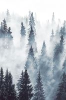 ESTAhome papier peint panoramique forêt brumeuse vert - 1,86 x 2,79 m - 158909