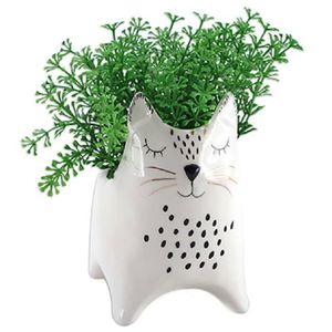 Pot De Fleur Chat Achat Vente Pas Cher