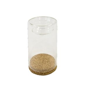 5,5/ cm Hauteur Pajoma Micha 13693/ Snake Bougie Support Conique en Verre