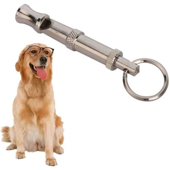 10 Meilleures Sifflet Anti Aboiement Chien Ultrason De 2025