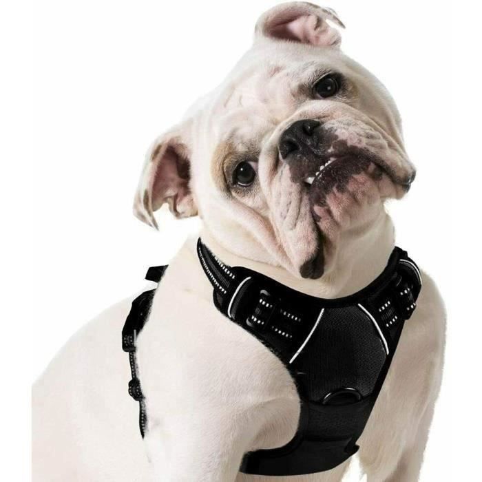 BVAGSS 2PCS R/églable Harnais Chiot Anti Traction R/éfl/échissant Harnais et Laisse pour Petit Chien Chiot XH046 XS, Khaki