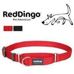 Red Dingo - Collier Martingale semi étrangleur pour chien M Rouge