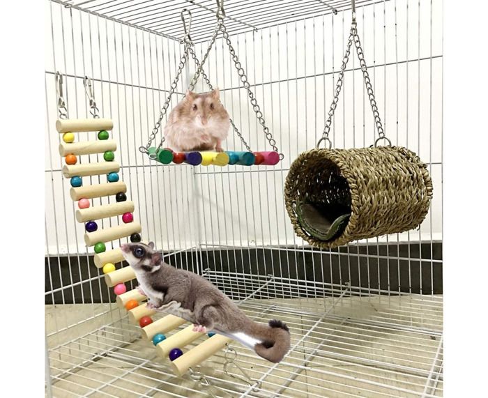 Comparer les prix de Jouet pour hamster lot de 3 jouets pour perroquets ou chiens. Pont échelles balançoire jouet hamac perché pour hamster écure