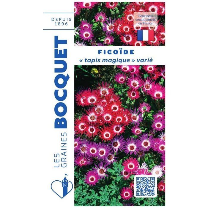 Graine - Semence - Ficoïde Tapis magique en mélange