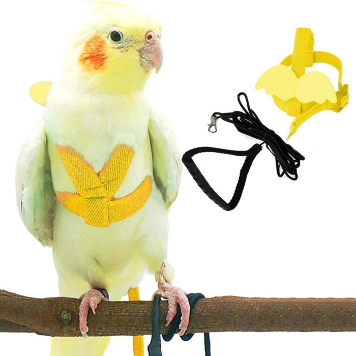 Harnais et laisse pour petits oiseaux - Vantory - S réglable nylon léger 200 cm poignée et aile décorative pour perruches conures