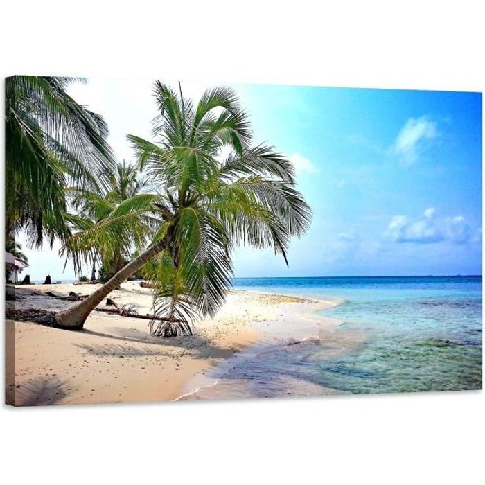 Impression sur toile - Image sur toile - Coucher de soleil avec un palmier sur un rivage tranquille