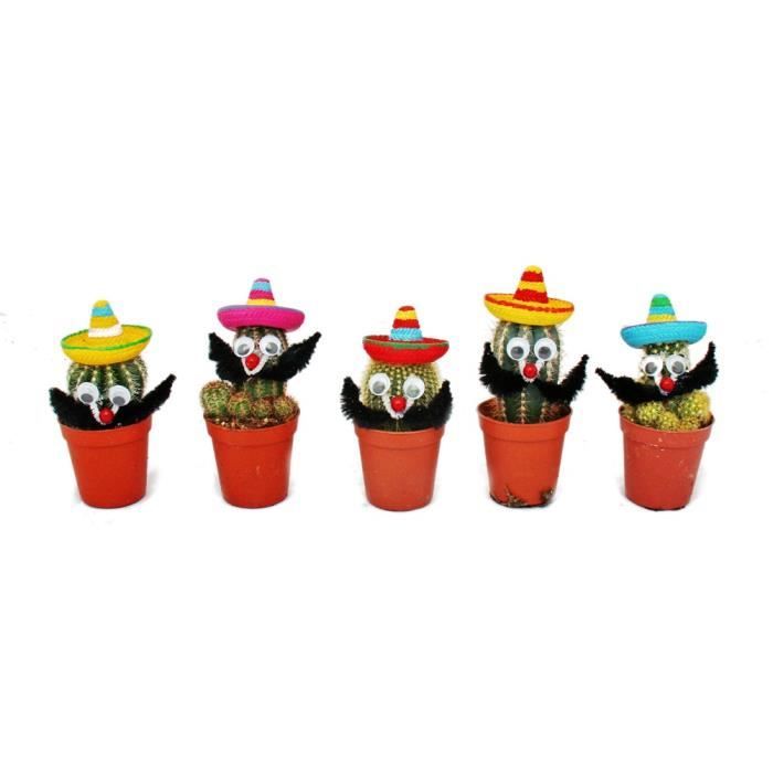 Cactus Avec Sombrero Drole Cdiscount Jardin Cactus Avec Sombrero Drole Cdiscount Jardin