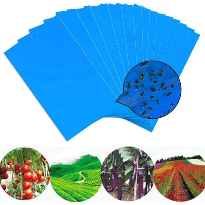 Pièges à Insectes,48Pcs Autocollants Jaune Mouche piège,Pieges Collants Double Face,Protection