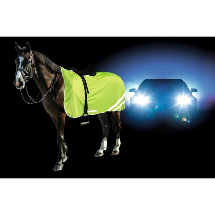 Couverture De Sécurité Réfléchissante Pour Cheval – Haute Visibilité Nuit Et Jour Avec Velcro Ajustable