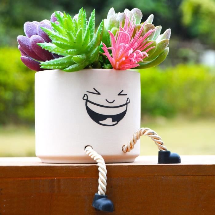 Pot De Fleurs Mignon En Forme De Visage - Pot De Fleurs Décoratif En Forme  De Smiley Avec Trou Pour Plantes Grasses, Mini Déc[H2042] - Cdiscount Jardin