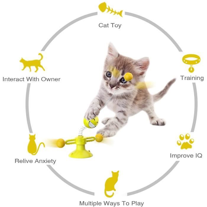 Jouet interactif pour chat Jouets pour chat avec ventouse, Spinner
