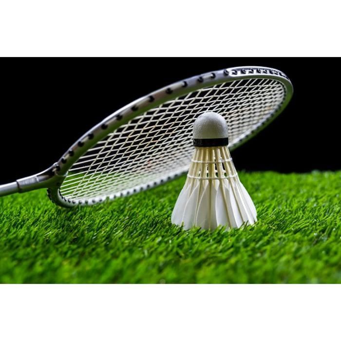 Acheter Balle de badminton Sport Stable plume d'oie noire volant de  Badminton professionnel Durable