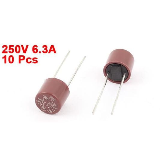 10/ x 2,5/ A 20/ mm en c/éramique fusible /à fusion lente
