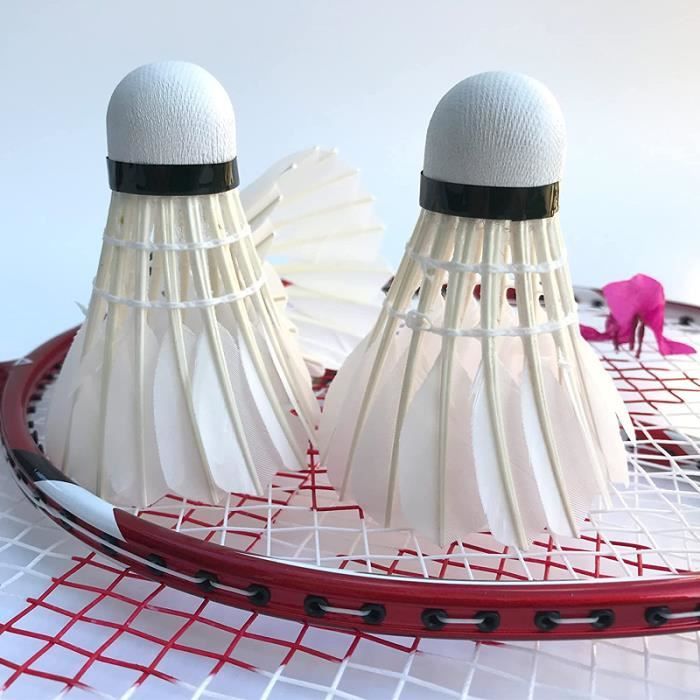 Lot de 6 volants de badminton en plumes d'oie - stabilité - durable - pour  l'intérieur et l'extérieur - Cdiscount Sport
