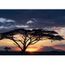 Affiche Coucher De Soleil Parc National D Amboseli Kenya