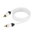Cable rca subwoofer
