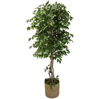 Ficus artificiel avec des troncs naturels, fabriqué avec les meilleurs matériaux, idéal pour la décoration intérieure, (180CM)