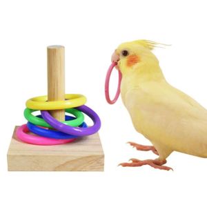 KIT ÉDUCATION ACTIVITÉ Perroquet oiseau jouet éducatif virole en bois col