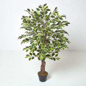 FLEUR ARTIFICIELLE Plante Figuier pleureur Ficus Benjamina Vert & Crè