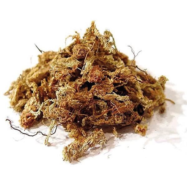 Sphaigne du Chili 150g