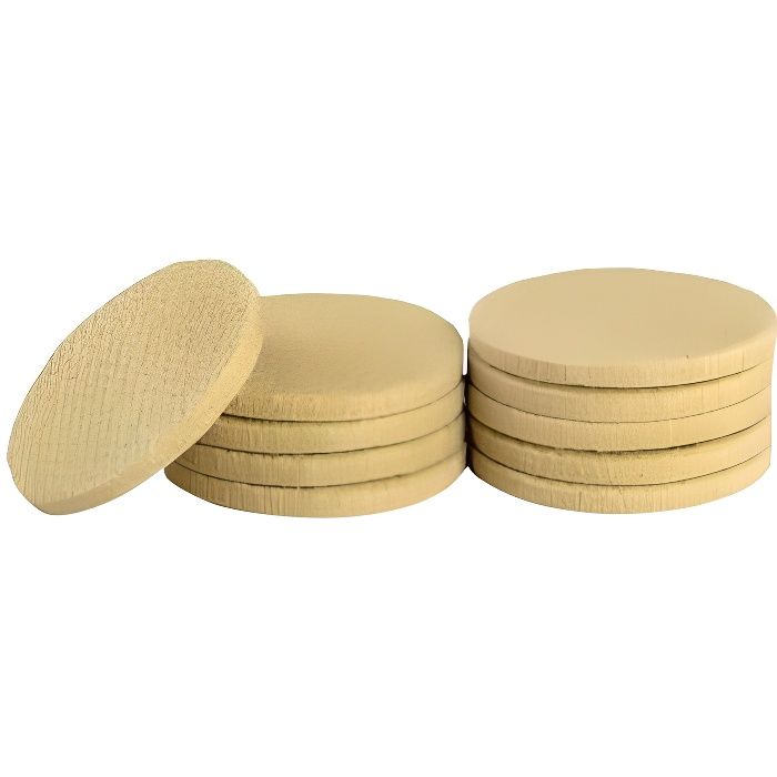 Lot de 10 feutres pour tampon graisseur ROLLER GRILL