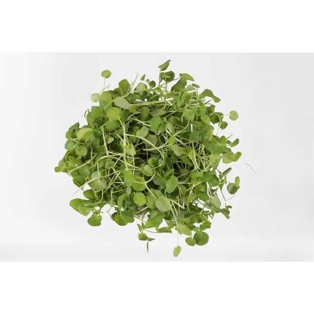 1000 Graines Bio à Semer - Le Grenier D'Abondance - CRESSON