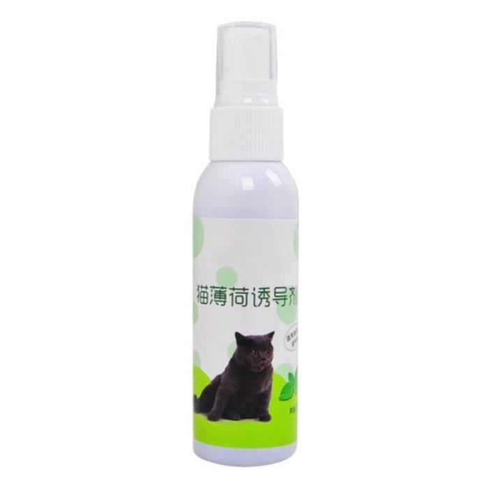Jouets En Spray D Herbe De Chat Liquide Organique En Forme De Chat Naturel Et Sain Fait Pousser Chat Etre Type Vert Ax Cdiscount
