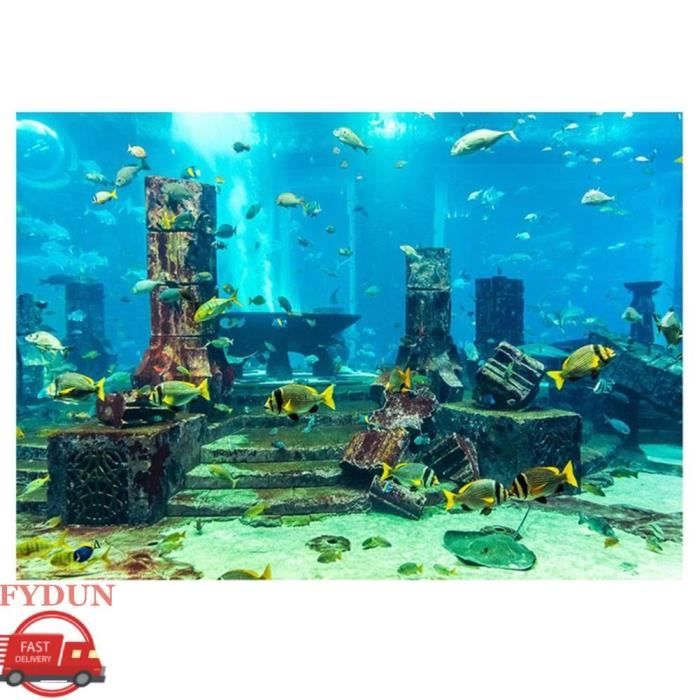 Meilleurs prix pour FYDUN Fond daquarium sous leau Fond daquarium corallium sous-marin affiche de pêche de pêche animalerie aquarium 76 122 * 46cm