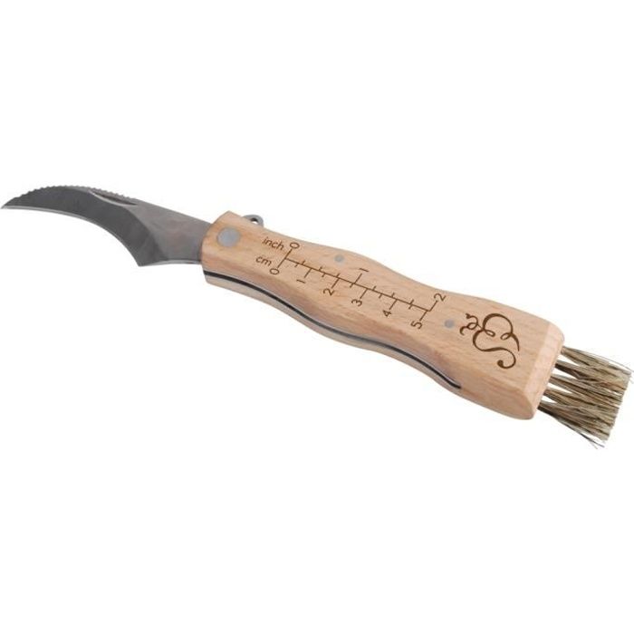 Couteau à champignon avec brosse