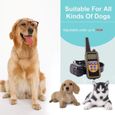 AWY25290-Collier dressage chien-800m collier d'entraînement à distance rechargeables et 100% imperméables, pour deux chiens-1
