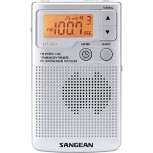 RADIO CD CASSETTE Radio portable SANGEAN DT-250 Gris - Syntoniseur d