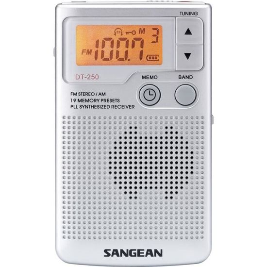 Radio portable SANGEAN DT-250 Gris - Syntoniseur de radio numérique AM/FM