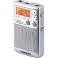 Radio portable SANGEAN DT-250 Gris - Syntoniseur de radio numérique AM/FM-2