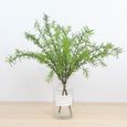 Romarin Plante Achat Vente Pas Cher