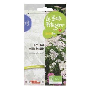 GRAINE - SEMENCE Graines à semer - Achillée millefeuille - LA BELLE POTAGERE - Plante fleurie - Fleurs - Soleil