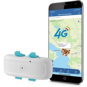 Traceur GPS MAXI- autonomie 5 ans - sans carte SIM, sans recharge, sans  câbles. Abonnement inclus.Pour voiture, bateau, utilitaire - Cdiscount Auto