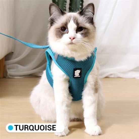 Harnais avec laisse Jaune fluo pour chat