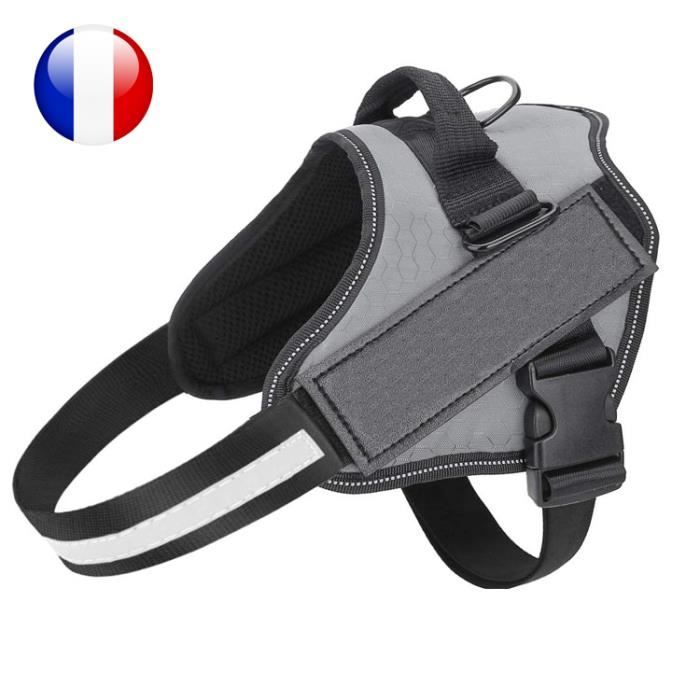 Harnais pour chien taille L couleur gris , agility, dressage, promenade